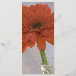 Orange Daisy in Vase Wedding Program Programm