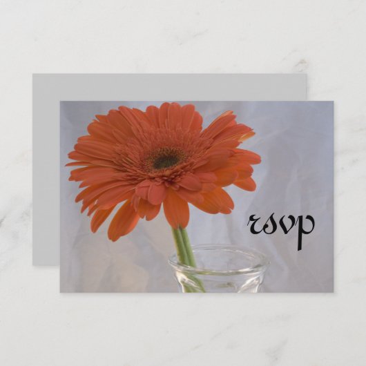 Orange Daisy in Vase Wedding RSVP Response Card (Vorne/Hinten)