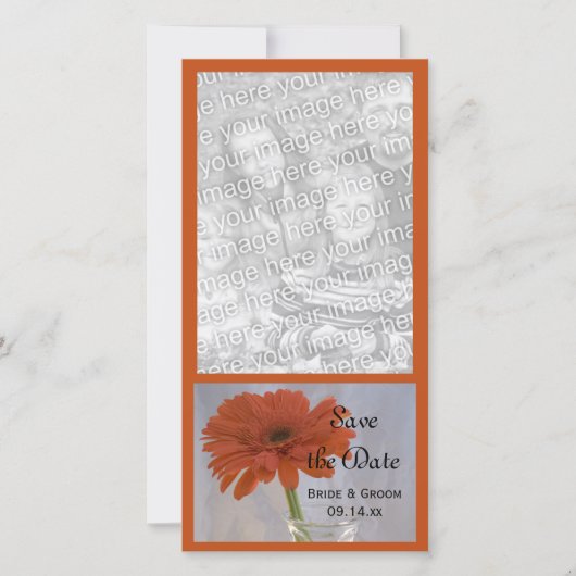 Orange Daisy in Vase Wedding Save the Date (Vorderseite)