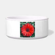 Orange Daisy Keramik Pet Bowl
