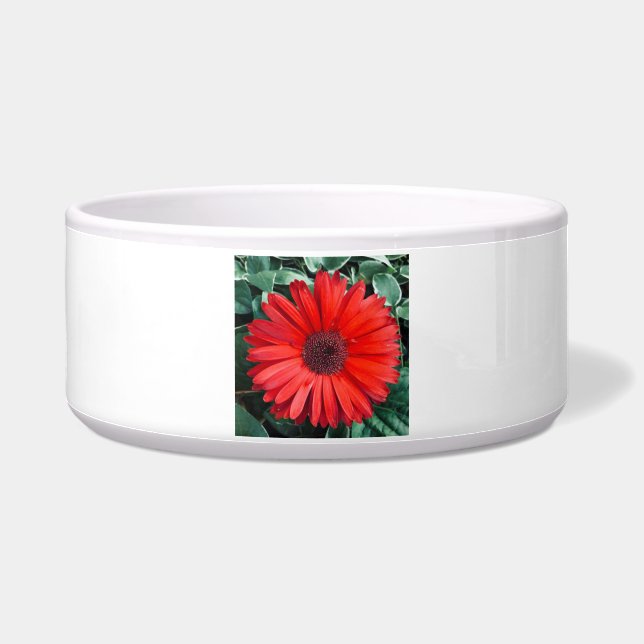 Orange Daisy Keramik Pet Bowl Napf (Links)