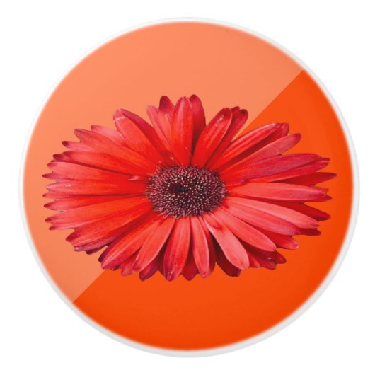 Orange Daisy Keramik Pull Keramikknauf (Vorderseite)