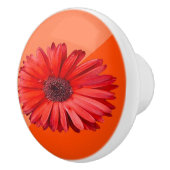 Orange Daisy Keramik Pull Keramikknauf (Rechts)