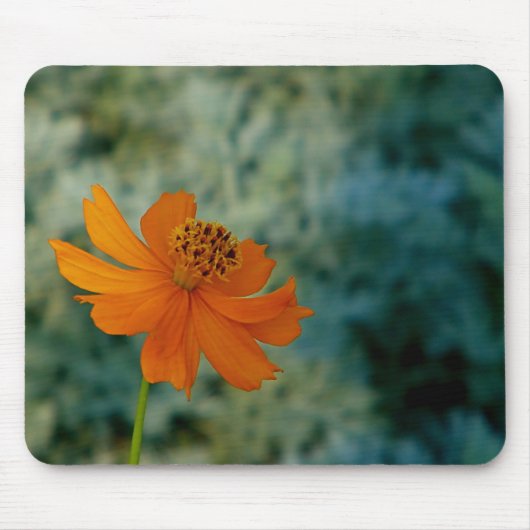 Orange Daisy Mousepad (Vorne)