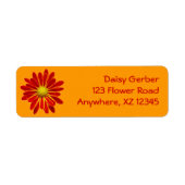 Orange Daisy Mum (Vorne)