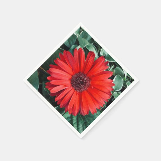 Orange Daisy napkins Serviette (Ecke)