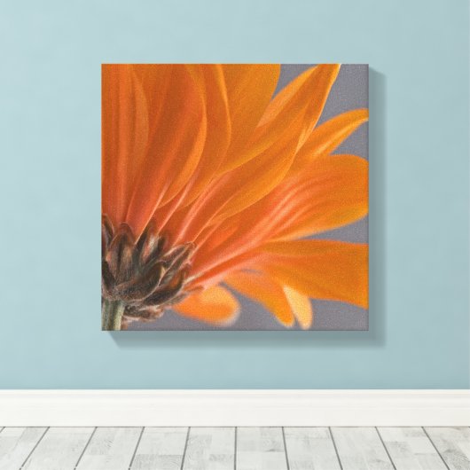 Orange Daisy on Gray Leinwanddruck (Insitu (Holzboden))
