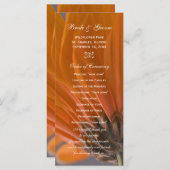 Orange Daisy on Gray Wedding Program Programm (Vorne/Hinten)
