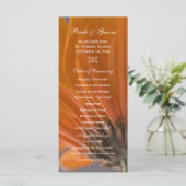 Orange Daisy on Gray Wedding Program Programm (Stehend Vorderseite)