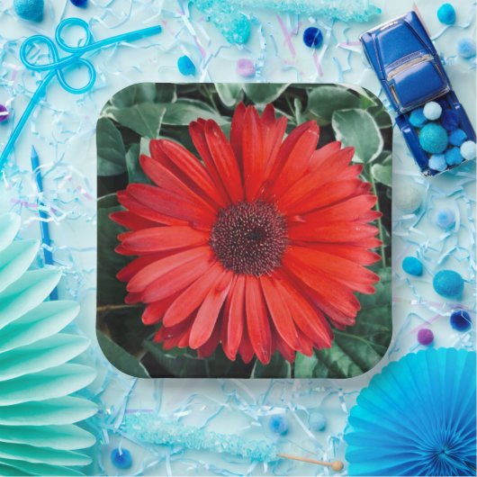 Orange Daisy Paper Teller (Party)