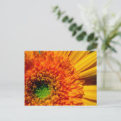 Orange Daisy Postcard Postkarte (Stehend Vorderseite)