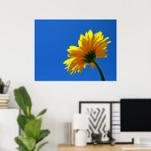 Orange Daisy Poster (Heimbüro)