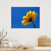 Orange Daisy Poster (Küche)