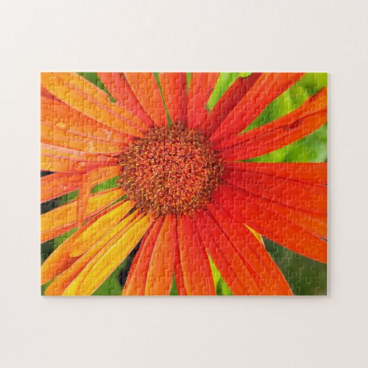 Orange Daisy Puzzle (Horizontal)