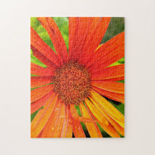 Orange Daisy Puzzle