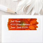 Orange Daisy Rücksendeadresse Mailing Label (Insitu)