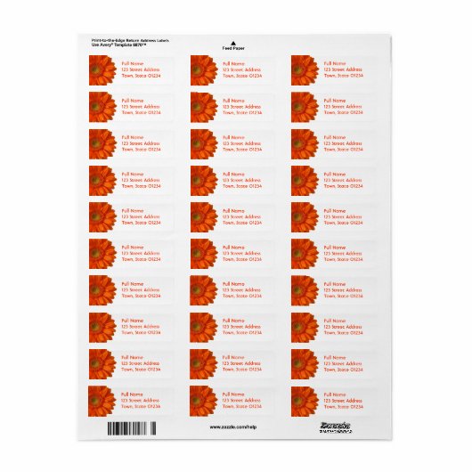 Orange Daisy Rücksendeadresse Mailing Label (Vorne)