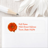 Orange Daisy Rücksendeadresse Mailing Label (Insitu)