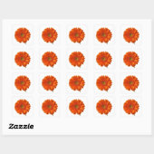 Orange Daisy Stickers (Blatt)