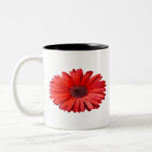 Orange Daisy Tasse