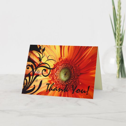 Orange Daisy Thank You Dankeskarte (Vorderseite)