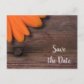 Orange Daisy und Barn Wood Wedding retten das Datu Ankündigungspostkarte (Vorderseite)