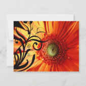 Orange Daisy Wedding RSVP Karte (Rückseite)