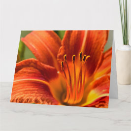 Orange Day Lily Notecard Karte