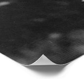 Orange Day Lily Picture Poster (Ecke)