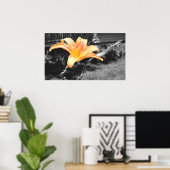 Orange Day Lily Picture Poster (Heimbüro)