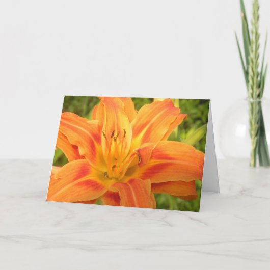 Orange Day Lily zur Brille Ihrer Weltkarte Dankeskarte (Vorderseite)
