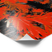 ORANGE DEED FOTODRUCK (Ecke)