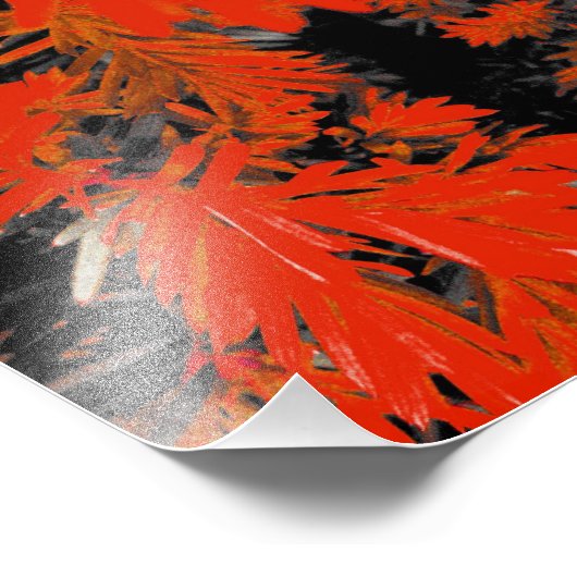 ORANGE DEED FOTODRUCK (Ecke)