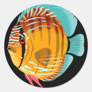 Orange Discus Runder Aufkleber