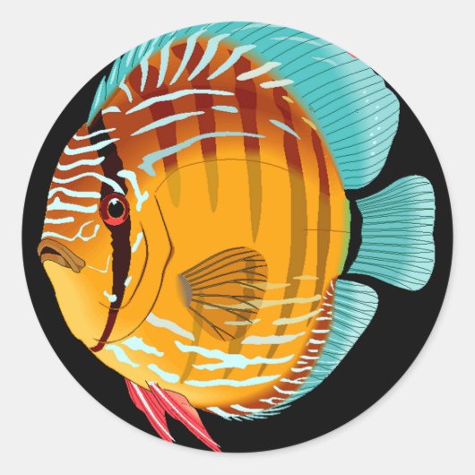 Orange Discus Runder Aufkleber (Vorderseite)