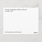 Orange Dragonfly Postkarte (Rückseite)