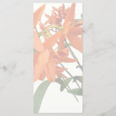 Orange Epidendrum Orchidee Menükarte (Rückseite)