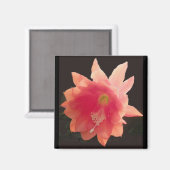 Orange Epiphyte Magnet (Vorderseite/Rückseite)