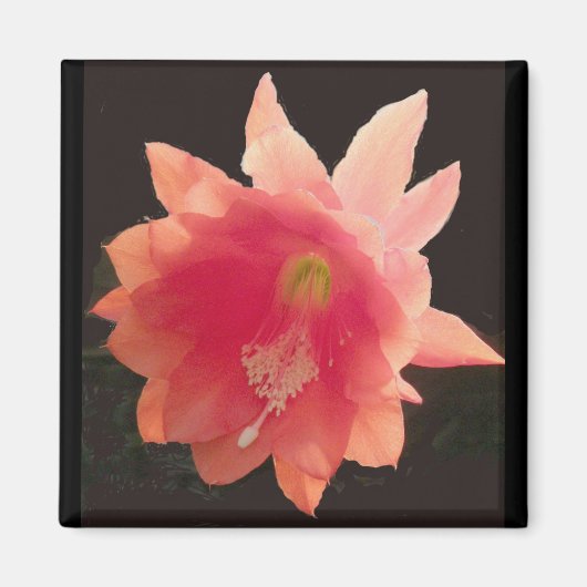 Orange Epiphyte Magnet (Vorne)