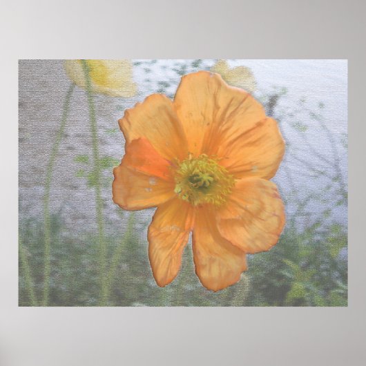 Orange Essence Poster (Vorne)