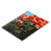 Orange Eukalyptus Blume Tree, Notizblock (Linke Seite)