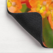 Orange Euphorbiengummi Mousepad (Ecke)