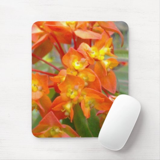 Orange Euphorbiengummi Mousepad (Mit Mouse)