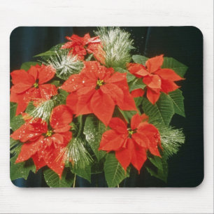 Orange Euphorbiengummi Pulcherrima "dunkelrot" Mousepad