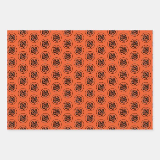 Orange F-15E Strike Eagle Bold Tiger Squadron Geschenkpapier Set (Vorderseite)