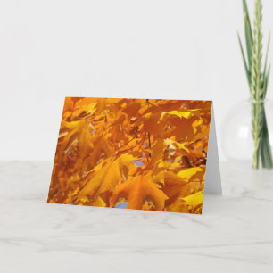 Orange Fall Tree Blätter Grußkarten Herbst Karte