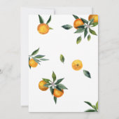 Orange fand eine kleine Süsse Babydusche Einladung (Rückseite)