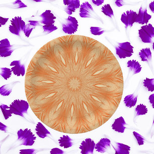 Orange Faux Tulle Design Pappteller