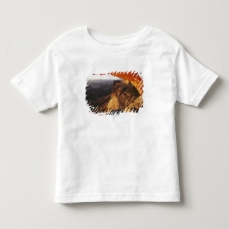 Orange Felsen-Overhand u. felsige Schlucht Kleinkind T-shirt