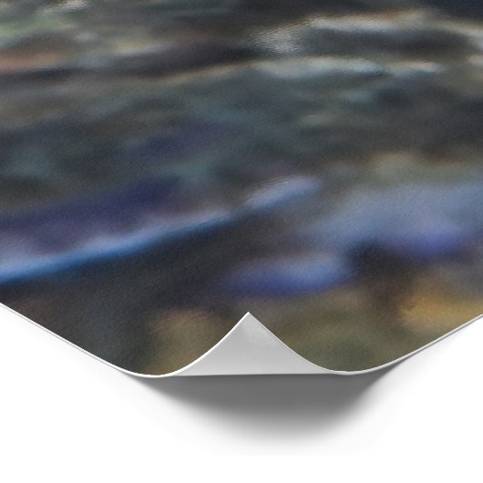 Orange Filefish Poster (Ecke)